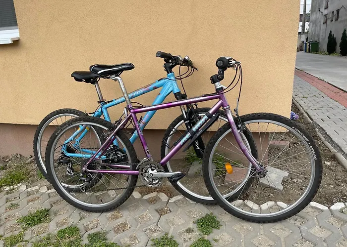 Beauty * 布拉迪斯拉发